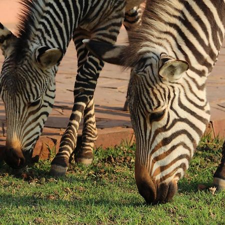 We Kebi Safari Lodge Сесрієм Екстер'єр фото